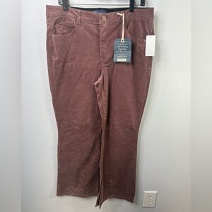 Democracy 14P High Rise Itty Bitty Boot Jeans Color Fall NWT